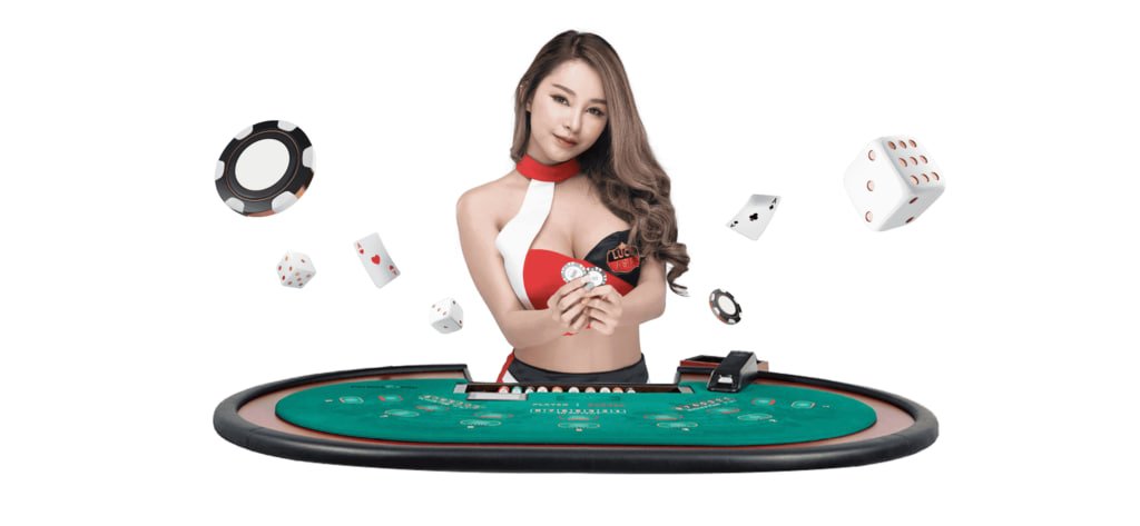 VIP Member လမ်းကြောင်း Level မြင့်တက်မှု အဆင့်ဆင့် ရှင်းပြချက်